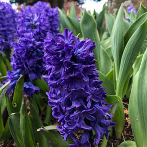 Meet your Posher, Stephenie